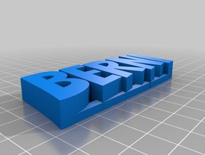 xavi Skulpturen kundengebundene 3d print model - Mito3D