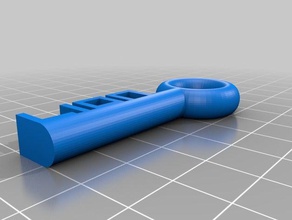 lion Schlüsselanhänger kundengebundene 3d print model - Mito3D