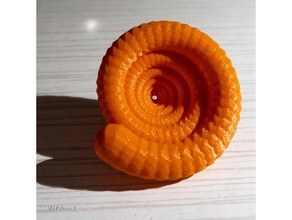 ammonite math art coquillage design fossil fossile fossils structure synth 3d print model - Mito3D