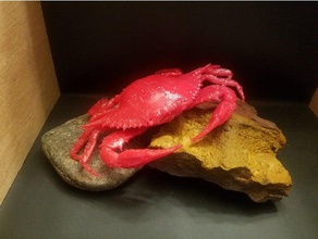 maryland blue crab animals animal crustacean invertebrate 3d print model - Mito3D