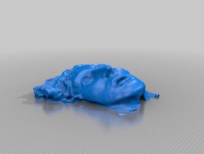 riproduzione volto sculture 3d print model - Mito3D