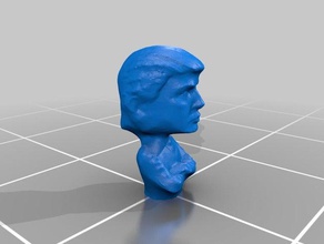 trump bust obj file 3d printing bobblehead donald reality capture 3d print model - Mito3D