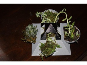piramit etli saksı açık ve bahçe ekici succulents 3d print model - Mito3D