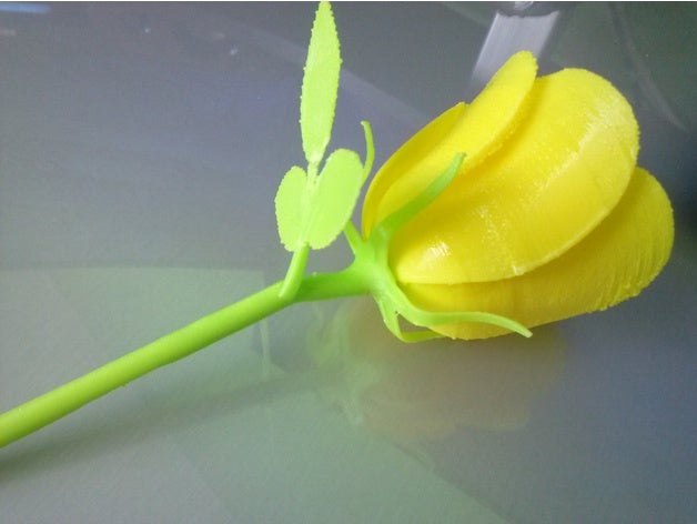 rose 2 art 3D print model - Mito3D