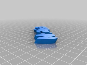 nih keychains customized 3d print model - Mito3D