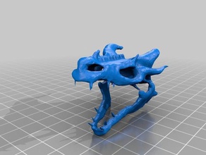 dragon skull sculptures dungeons dragons skulls 3d print model - Mito3D