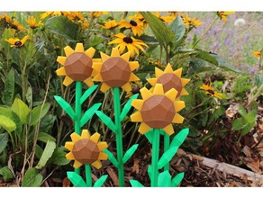 sunflowers 3d print model - Mito3D