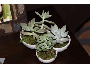 succulent tri-bowl outdoor & garden succulents holder pot 3d print model - Mito3D