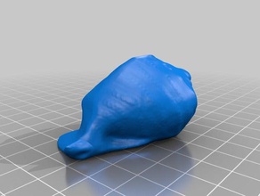 sea shell scans & Replikate 3d print model - Mito3D