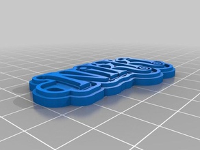 nikki Schlüsselbund Schlüsselanhänger kundengebundene 3d print model - Mito3D