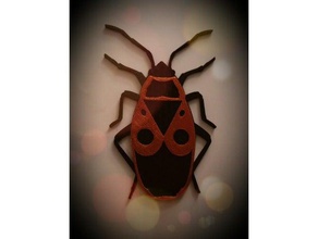 ateş böceği feuerwanze biyoloji siyah hata feuer firebug böcek k fer kırmızı wanze 3d print model - Mito3D