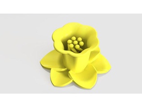 daffodil twist stamen sculptures flower grandmother mother mothers day plant twisted 3d print model - Mito3D
