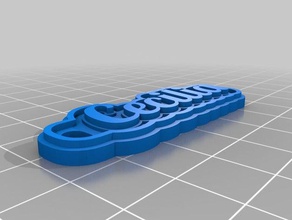 cecilia keychains customized 3d print model - Mito3D
