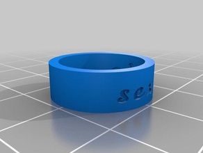 il mio personalizzato anello interno anelli su misura 3d print model - Mito3D