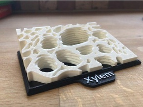 plant xylem structure model frame biology cell microscopy science teaching aid 3d print model - Mito3D