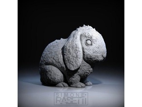 il coniglio art animale coelho 3d print model - Mito3D