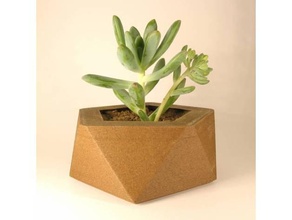 geo pot dekor kaktüs saksı dekorasyon çiçek saksısı elde mutfak pentagon bitki ekici etli 3d print model - Mito3D