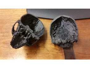 skull ct scan scans & replicas 3d print model - Mito3D