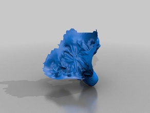 bernd scans & replicas 3d print model - Mito3D