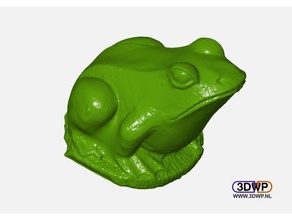 Frosch-Skulptur, 3d-scan scans & Replikate Tier Frosch Photogrammetrie scan Skulptur statue Kröte visualsfm 3d print model - Mito3D