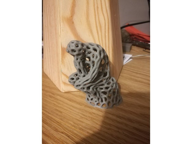 voronoi düşünür 3d baskı sanat rodin heykel heykeller stil şey tasarım örgü tarzı 3D print model - Mito3D