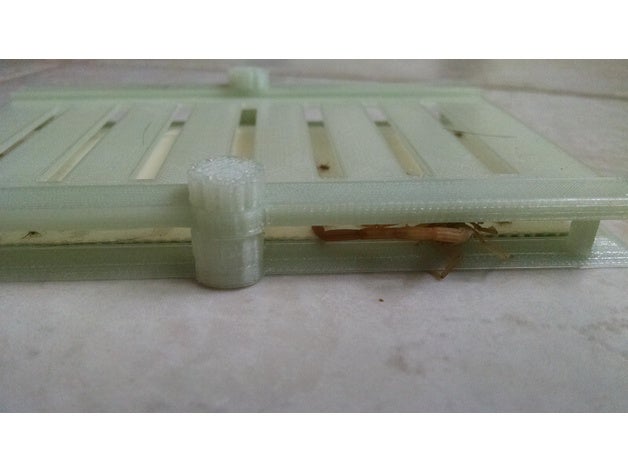 scorpion Falle bugs pest klebrige 3D print model - Mito3D