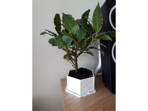 hex miniature bonsai plant pot outdoor & garden 3d print model - Mito3D