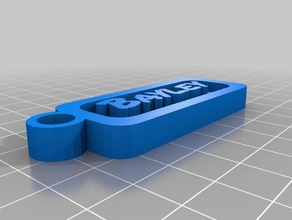 bayley customisable name tag keychains customized 3d print model - Mito3D