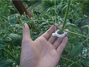 trellis clip outdoor & garden agriculture hydroponics tomato 3d print model - Mito3D