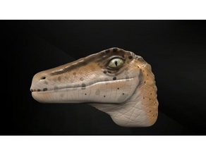 velociraptor Tiere dino Dinosaurier raptor 3d print model - Mito3D