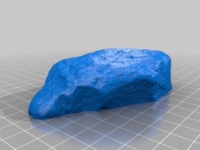le pietre biologia rock 3d print model - Mito3D