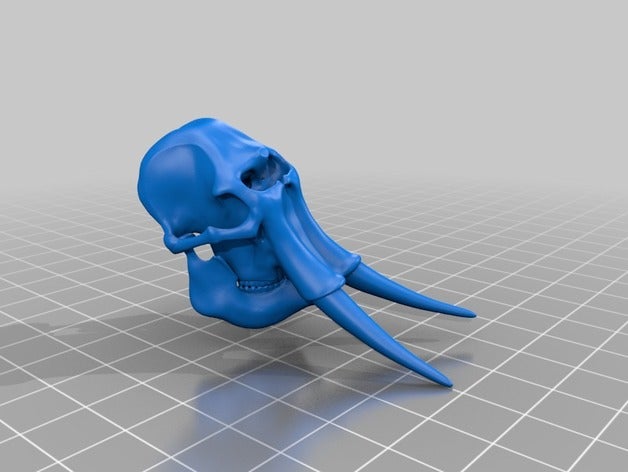 Elefanten-Schädel scans & Replikate Kunst design Elefanten Schädel 3D print model - Mito3D