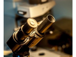 tubusschutzkappe f r mikroskop microskope il tappo di protezione tubus 23mm 3d print model - Mito3D