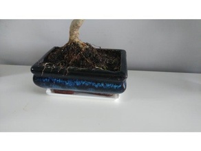 bonsai de la bandeja árbol los bonsais 3d print model - Mito3D