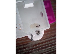 food dispenser my ants camponotus barbaricus pets ant keeping 3d print model - Mito3D