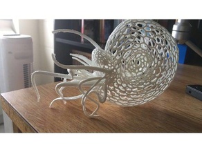 nautilus sculptures art sculpture wireframe 3d print model - Mito3D