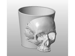 skull flower pot containers cup halloween 3d print model - Mito3D