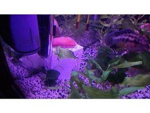 fish tank hideout animals 3d print model - Mito3D