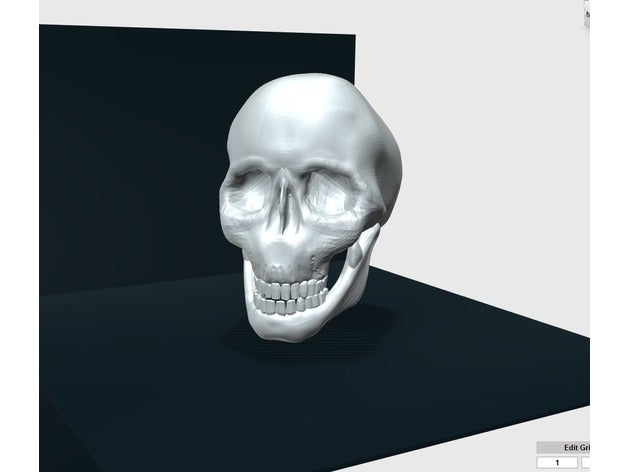 another skull sculptures alajaz bone bones deco decor easy fast halloween head low new sculptur sculpture white 3D print model - Mito3D