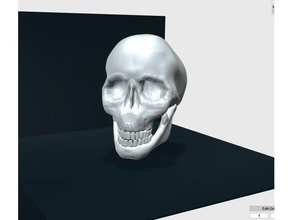 ein weiterer Schädel Skulpturen alajaz anderen Knochen deco Dekor einfach schnell halloween Kopf low neue sculptur Skulptur weiß 3d print model - Mito3D