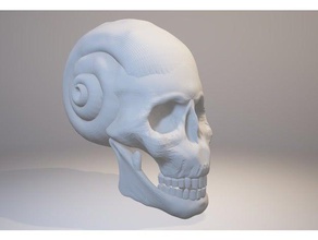 lumaca cranio - rapporto aureo astratto sculture alajaz art l'osso complesso morte d'oro testa modello natura natute nuovo spaventoso la scultura supporta bianco 3d print model - Mito3D