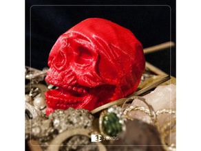 scanned skull - caveira escaneada scans & replicas 3d print model - Mito3D