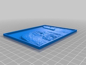 meine angepasste lithopane 2d-Kunst kundengebundene 3d print model - Mito3D