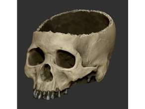 halloween cranio ciotola food & drink di umano nexnox paradigma 3d print model - Mito3D