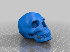 skull sculptures human 3d print model - Mito3D