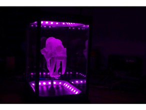 light up sabre tooth case 3d printing display led sabre-toothed skull 3d print model - Mito3D