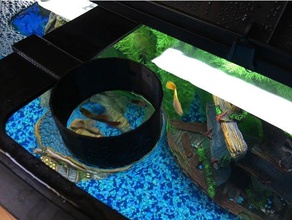 pesce alimentatore anello aqueon 36 galloni bowfront serbatoio hobby 3d print model - Mito3D