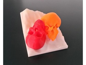allegro teschi multimateriale art multicolor cranio 3d print model - Mito3D