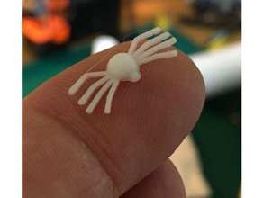 teeny spidy animaux 3d print model - Mito3D