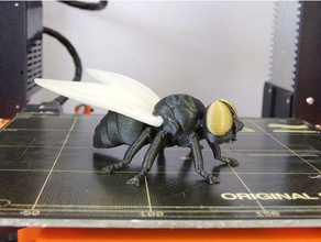 fly multi-material animals dual extrusion mmu multi-color multimaterial multi material 3d print model - Mito3D